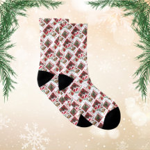 Cavaleiros de Natal King Charles E Labradoodle