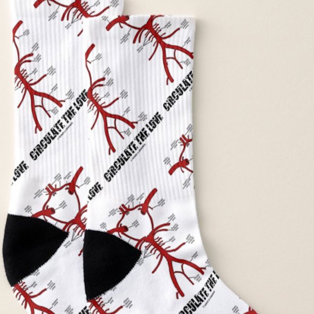 Meias Circule O Círculo De Amor Do Conselho De Anatomia  (Pair of medical humor socks featuring Circle of Willis and the caption "Circulate The Love")