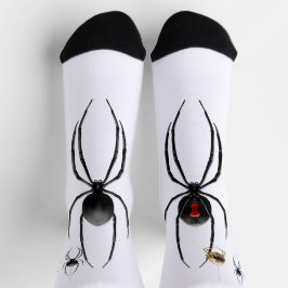 Meias de Aranha