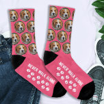 Meias de Cachorro de Fotos Pet Personalizadas<br><div class="desc">Nunca Ande Sozinho! Surpreende o amante do cachorro, seja ele um aniversário, um Dia de as mães ou um Natal com essas fotos de animais super bonitinhas por toda a meias com o ditado "Nunca Ande Sozinho". Eles serão os favoritos de todos os amantes de cães, mães de cães e...</div>