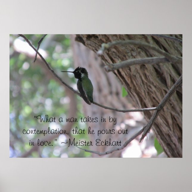 Meister Eckhart Contemplation Poster (Frente)