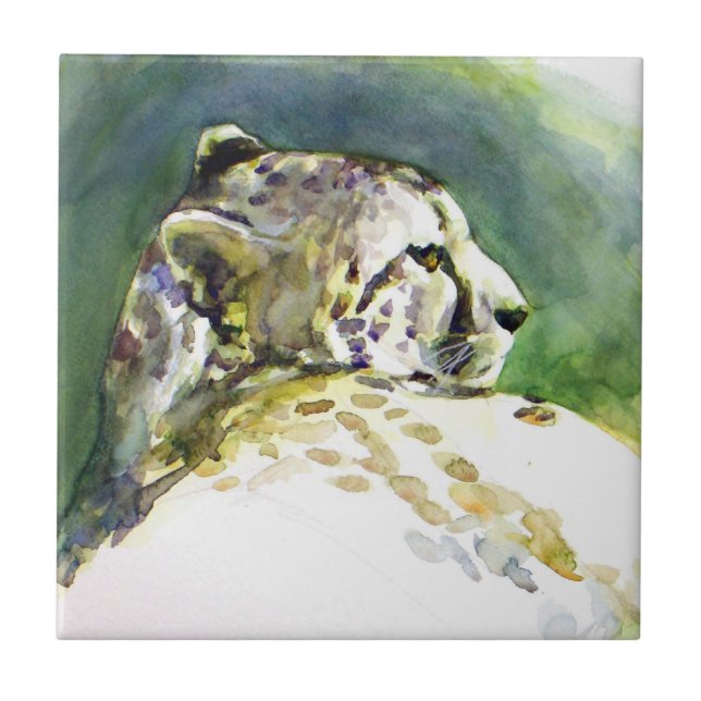 Mejexpressas Cheetah Azulejo (Frente)