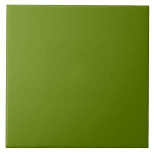 Melancia Verde Escuro Lisa