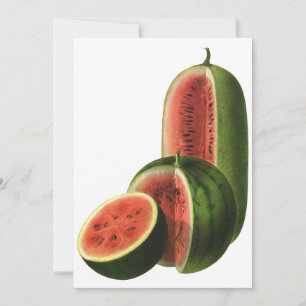 Melancias Vintage Altas Redondas, Alimento Orgânic