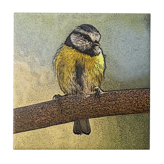 Melharuco azul europeu (Frente)