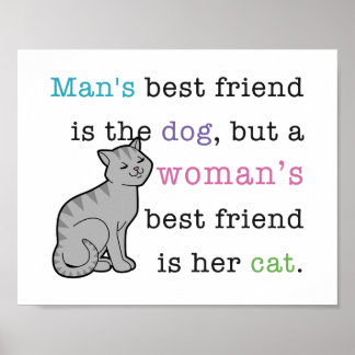 Melhor Amiga da Mulher - poster de Gato