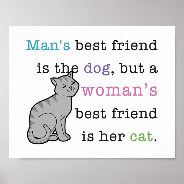 Melhor Amiga da Mulher - poster de Gato (Frente)