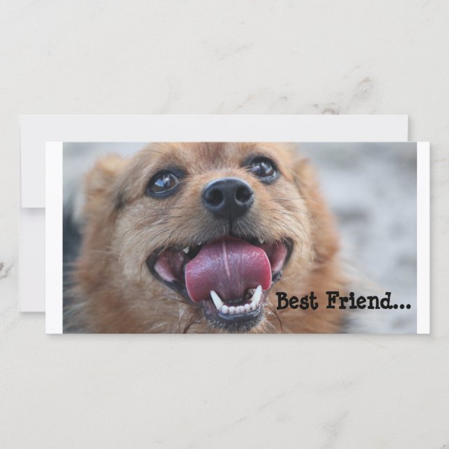 Melhor Amigo (Frente)