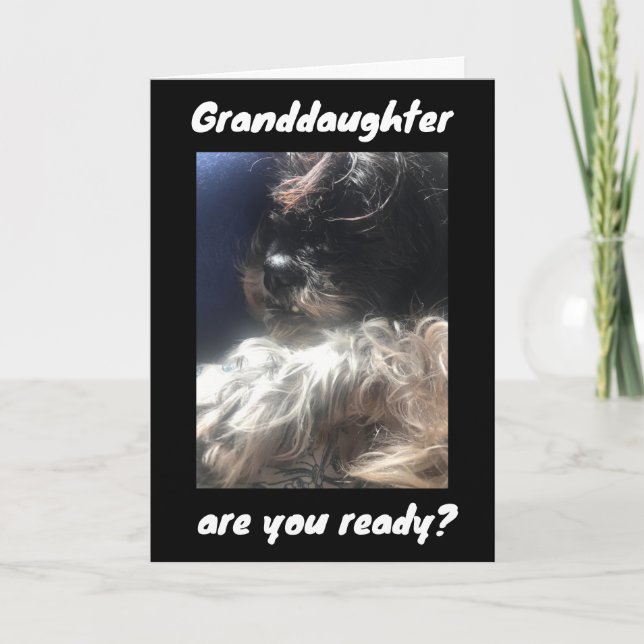 MELHOR ANIVERSÁRIO PARA ***GRANDAUGHTER*** CARTÃO (Frente)