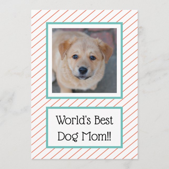 Melhor Cachorro Mãe Coral Striped (Frente)