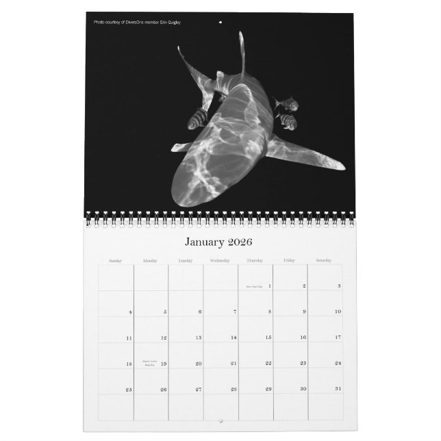 Melhor Calendário De 2010 Para DiversUma Fotos Sub (Jan 2026)