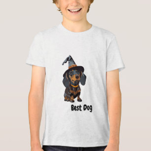 Melhor Cão