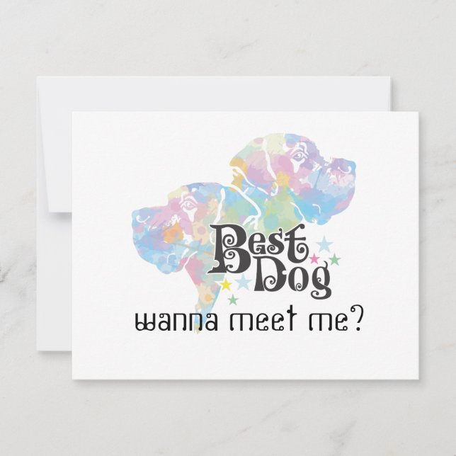 Melhor Cão "colorido" (Frente)