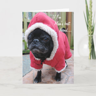 Melhor Cartão Amigo do Homem