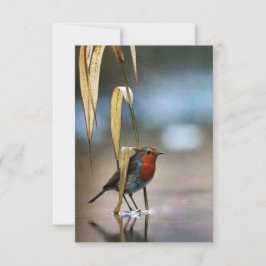 Melhor Cartões de agradecimentos plano de 3,5" x 5