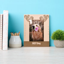 MELHOR Casamento de Cachorro