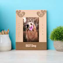 MELHOR Casamento de Cachorro