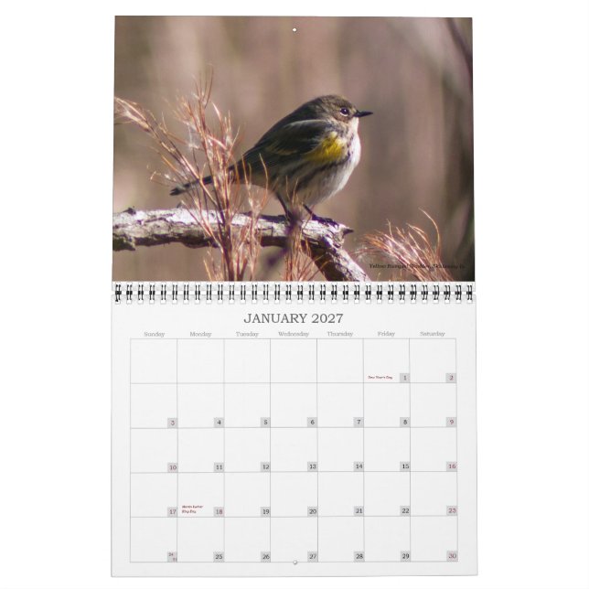 Melhor do calendário da fotografia da natureza de (Jan 2027)