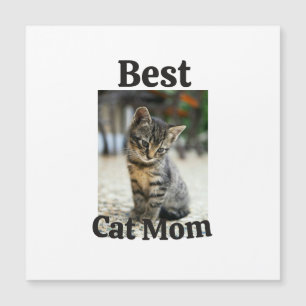 melhor gato mamãe papai pai mãe animal foto gatinh