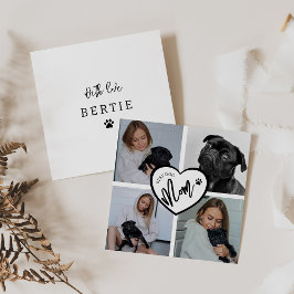 Melhor mãe de cachorro | Colagem de Fotografias