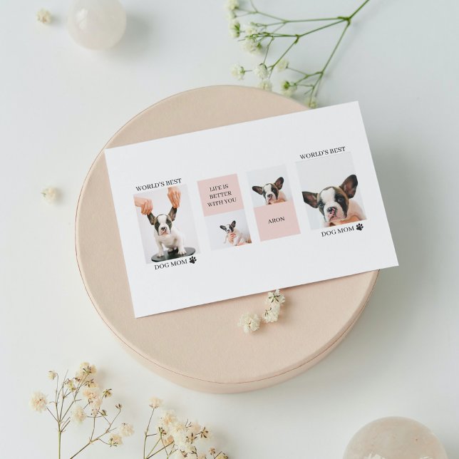 Melhor Mãe de Cachorro do Mundo | Colagem de Fotos (Criador carregado)