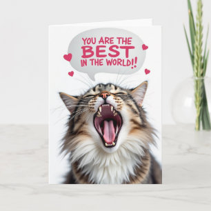 Melhor Pai do Mundo Cartão de Grito do Gatinho