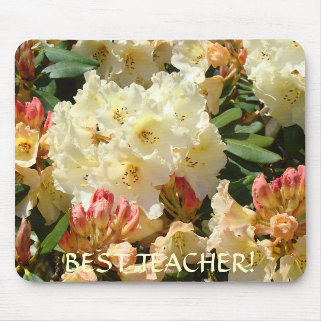 MELHOR PROFESSOR Presente Natal Rhodies Mousepad (Frente)