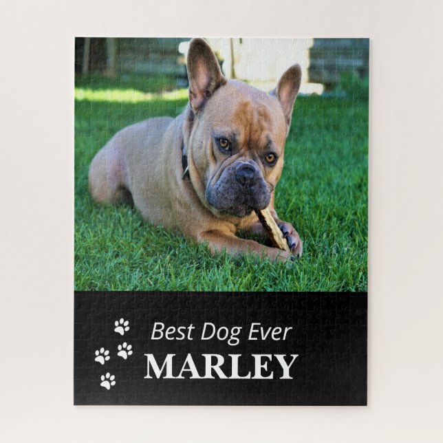 Melhor Quebra-cabeça de Cachorro (Vertical)