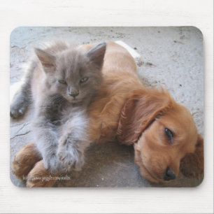 Melhores amigos Mousepad