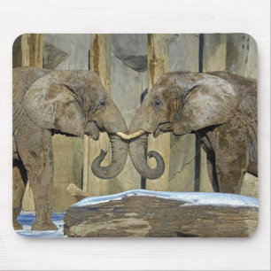 Melhores amigos Mousepad do elefante