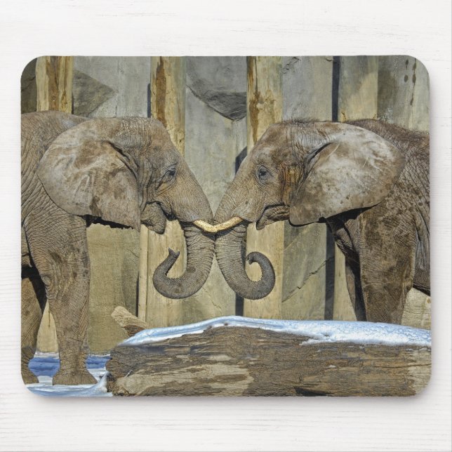 Melhores amigos Mousepad do elefante (Frente)