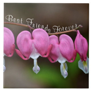 Melhores Amigos para Sempre