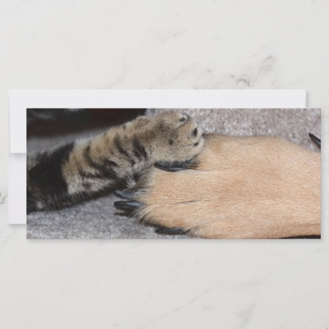 Melhores Amigos para sempre por Shirley Taylor (Frente)