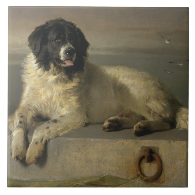 Membro distinto da sociedade humana (Frente)