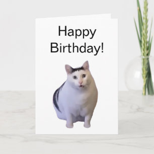 Meme Cat Do Cartão Dobrado