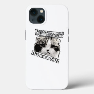 Meme engraçado de gato zangado para donos de gatin
