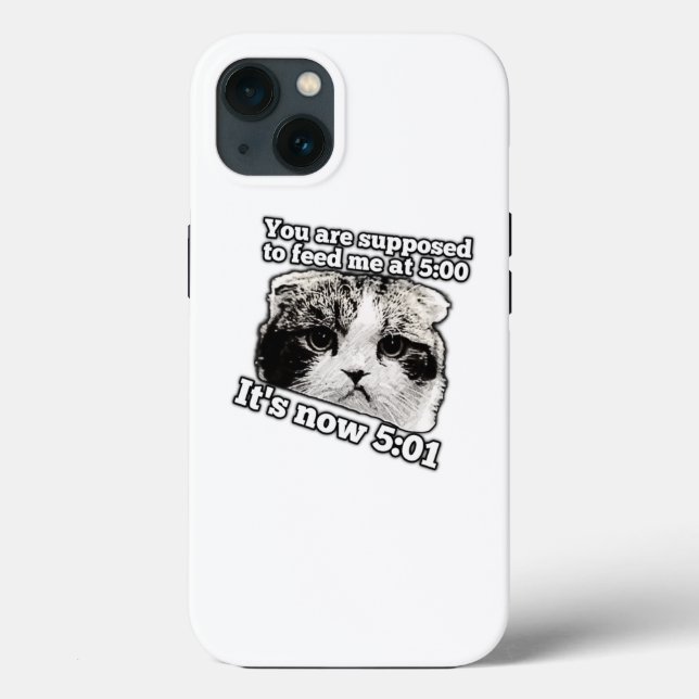 Meme engraçado de gato zangado para donos de gatin (Verso)