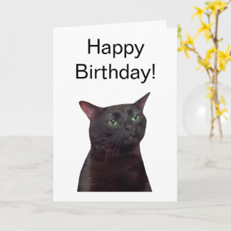 Memória Cat de Saída de Cartão Dobrado