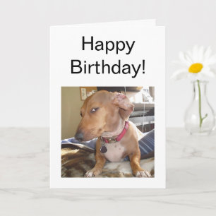 Memória De Cachorro Do Lado Do Cartão Dobrado