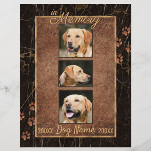 Memória de Cão - Fim da Corrente