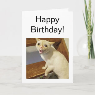 Memória de Gato de Tosse de Cartão Dobrado