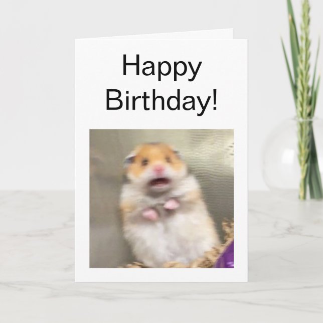 Memória De Hamster Com Medo De Cartão Dobrado (Frente)