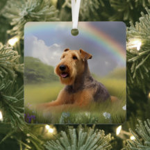 Memorial da Ponte Rainbow Airedale Terrier