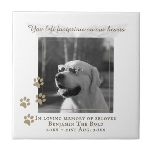 Memorial de Cães Foto de Placa Cerâmica com Texto