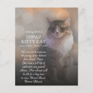 memorial de fotografias do lado direito