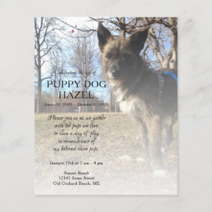 memorial de fotografias do lado direito