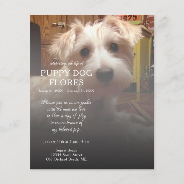 memorial de fotos do lado direito (Frente)