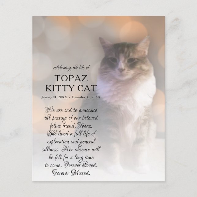 memorial de fotos do lado direito (Frente)