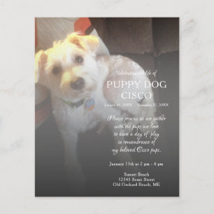 memorial de fotos do lado esquerdo