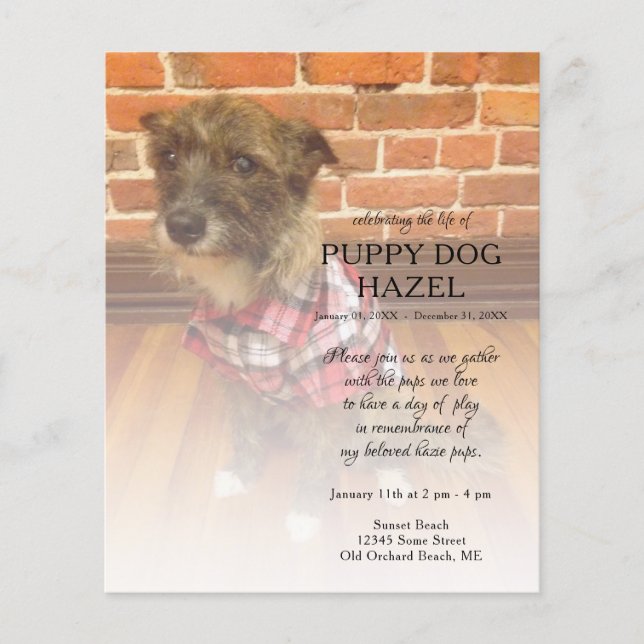 memorial de fotos do lado esquerdo (Frente)